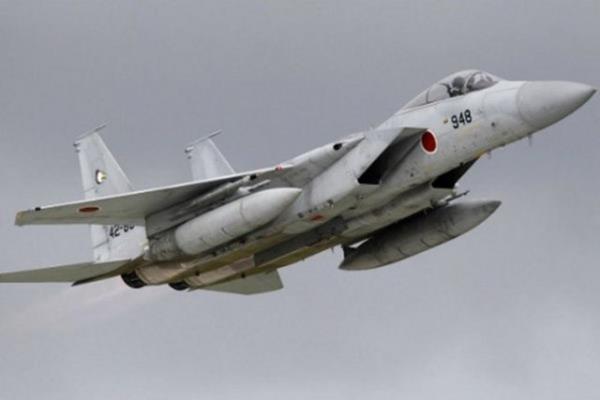 7. Japonya-  Milli gelire oran: Yzde 1