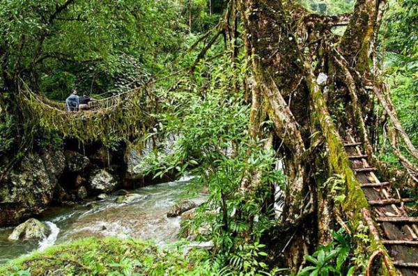 23. Meghalaya, Hindistan