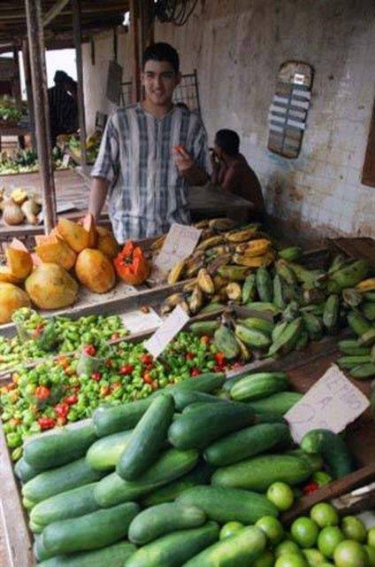 Salataln yzde 96's sudur.