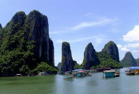 Halong krfez kasabas balklk ve deniz rnleri asndan olduka zengin.