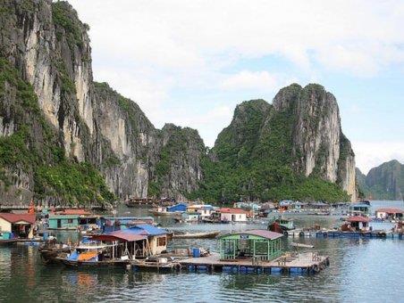 Halong krfez kasabas Vietnam'da bulunuyor. Su zerine ina edilen bu kasabada 600 kii yayor.