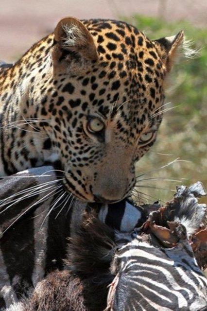 Yaklak 30 dakika sren mcadele objektiflere byle yansd.