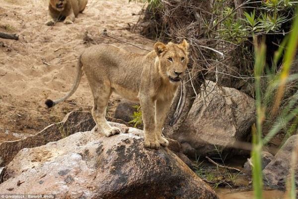 Bu fotoraflar 30 yandaki Byron Serrao tarafndan bir tur operatr ve zel bir rehber tarafndan ekildi.