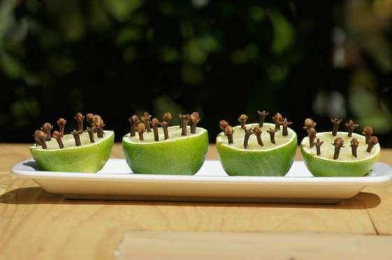 KARANFL VE LMON BRARADA!<br>  Karanfil kokusu sivrisinekleri rahatsz eder. Yeil limonu kesip zerine karanfil taneleri koyarak da korunmak mmkn.