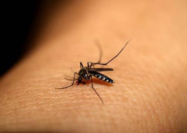 Dr. Phil, sivrisinekler için "çekicilik" derecesinin zaman içerisinde değişebileceğini ifade etti.