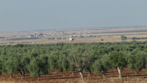 Kamulatrma yaplan gvenlik blgelerine buradaki tesislerde grevli olanlarla, askeri gvenlik blgelerinde yetkili komutanln izin verdii kiilerden...