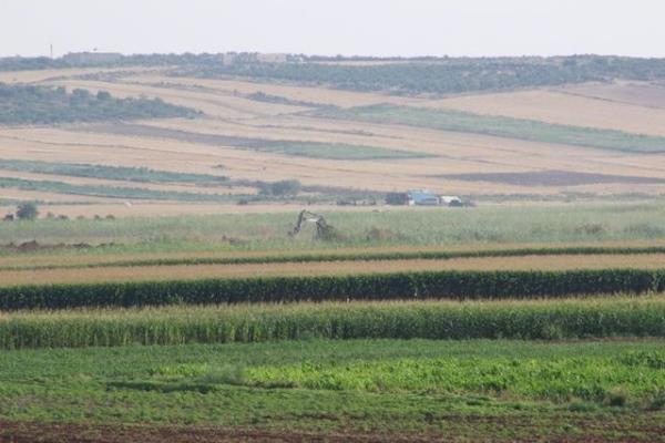 Yine ayn gn Tunceli&#8217;de valilik kararyla kent merkezinde 7, Ovack ve Nazmiye ilelerinde 2...