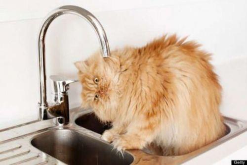 Farkna varmasanz da evinizdeki en kirli alanlara srekli dokunuyorsunuz!