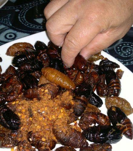 Bir insan ekseriyetle tkettii yiyeceklerin ierisinde olmak zere ylda ortalama 500 gram bcek yer