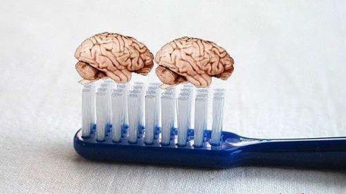 Eski roma'da di macunu yerine ezilmi fare beyni kullanlrd