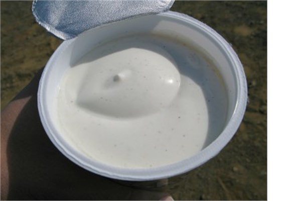 13- zlanda (Gney Kbrs ve birka lkeyle ayn srada)