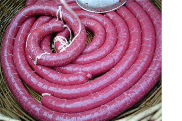 25- Estonya (Brezilya ile ayn srada)