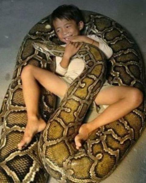 te sanal alemde yaynlanan, tklanma rekorlar kran, gelmi gemi en komik, en tuhaf ve en ilgin fotoraflar...