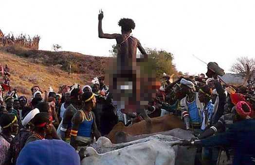 Etiyopya'da bulunan Hamar kabilesinde, eer bir kii evlenmek istiyorsa, ineklerin zerinde atlanlan ilgin bir trene katlmak zorunda.