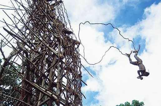 Bu ritel bungee jumping yapmak gibi, ama kullanlan malzeme zm asmas ve ama, lm ile olabildiince burun buruna gelmek. Vanuatu topluluunda yaayan erkeklerin amac, kafalarn zemine srttrebilmek ve bunu yaparak hayatta kalabilmek.