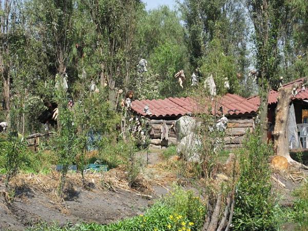 Meksika'da bulunan "Isla de las Munecas" ya da Trke adyla Oyuncak Bebekler Adas bir korku filmi seti ya da bir kabus gibi grnyor