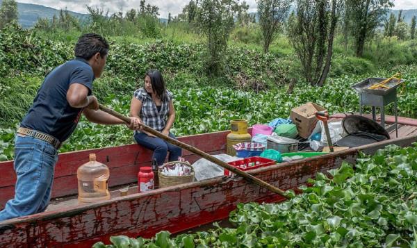 Her aacnda onlarca bebek bulunan ada imdi turistlerin gzdesi durumunda. Merakl ve cesur turistler adaya gelip bu ilgin hikayenin grntlerini ekiyor.