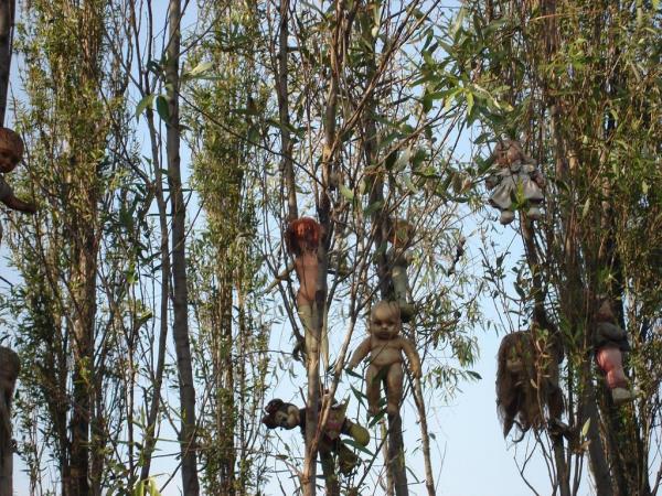 Kirli elbiseleri, dolak salar, yuvalarndan frlam gzleri, kopuk kol ve bacaklaryla bu bebeklerin burada toplanma hikayesi ok ilgin.