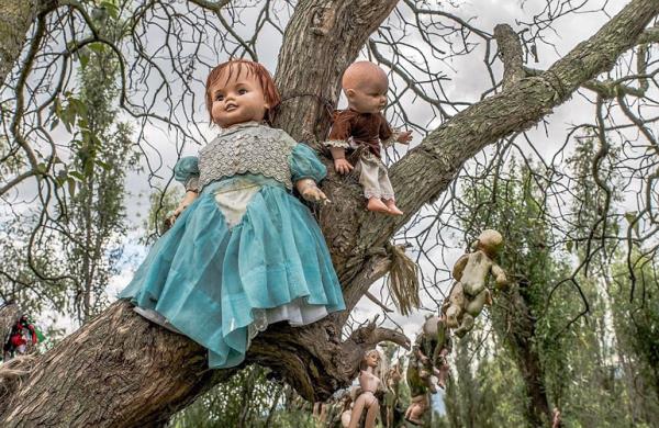 Kz lk attka bir bebek aaca balanyor. 50 yldr bu gelenek devam ediyor.