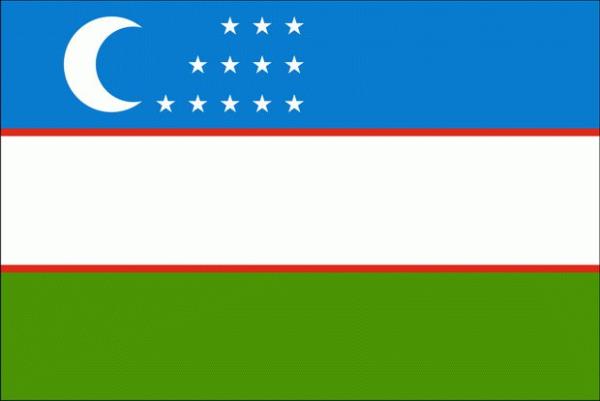 Özbekistan: Özbekistan bayrağının sembolik anlamı için pekçok teori ileri sürülmüştür. Bunlardan bir tanesine göre, 12 yıldız Özbek vilayetlerini; mavi zemin Türklüğü, beyaz zemin adaleti, yeşil zemin ise konukseverliği temsil etmektedir. İki ince kırmızı çizgi ise "güçlü olmak"ı anlatmaktadır. Yarım ay ise, "yenilenme"yi anlatmaktadır. Başka bir görüşe göre 12 yıldız; 12 takvim ayını ya da burcu anlatmaktadır. Yarım ay İslamı simgelemektedir. Beyaz zemin ve renkler pamuğu, yani ülkenin ana sembolünü anlatmaktadır. Başka bir görüşe göre, mavi suyu, beyaz barışı, yeşil ise doğayı simgeyi temsil etmektedir. Kırmızı şeritler ise bu özellikleri birleştiren yaşam gücünü temsil etmektedir.