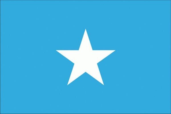 Somali: Açık mavi (turkuaz) zeminin ortasındaki büyük beyaz ve beş kollu bir yıldızdan oluşur.Beş kollu yıldız eski ve daha geniş olan Somali sömürge bölgesinin şimdilerde kendi başlarına ülkeler olan iç bölgelerini temsil eder: Cibuti, Etiyopya, Somali,Eritre ve Kuzey Kenya Somalisi.