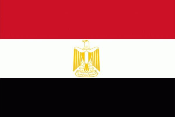 Mısır: Bayraktaki kırmızı,beyaz ve siyah renkleri Arap halkını ifade eder.Ortadaki amblem(altın kartal) ise Selahaddin Eyyubi'nin simgesidir.