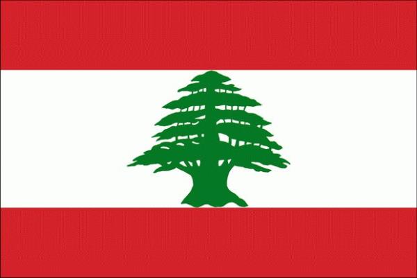 Lübnan: Lübnan bayrağının sahip olduğu renklerin farklı anlamları vardır. Kırmızı renk ülkenin bağımsızlığı için akmış insanların kanlarını temsil ederken beyaz renk barışı ve Lübnan'ın dağlarında bulunan karı temsil eder. Bayrağın ortasında bulunan sedir ağacı tasviri ebediyeti ve istikrarı simgeler.