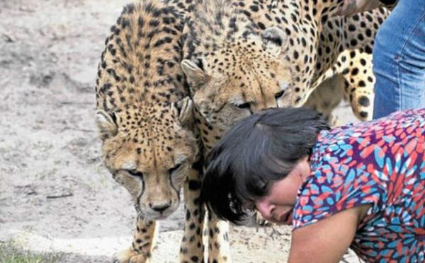 D'Mello deheti yaarken, kafesin dnda olan kocas da artc bir sakinlikle karsna yaplan lmcl saldry grntledi.