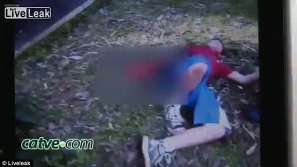 Hayvanat bahesi yetkilileri Hu ad verilen kaplann hite saldrgan bir hayvan olmadn, insanlara alk olduunu sylediler.