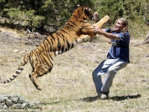 Eittii kaplanlar Son Samuray, Gladyatr ve Transformers 2 gibi filmlerde oynad.