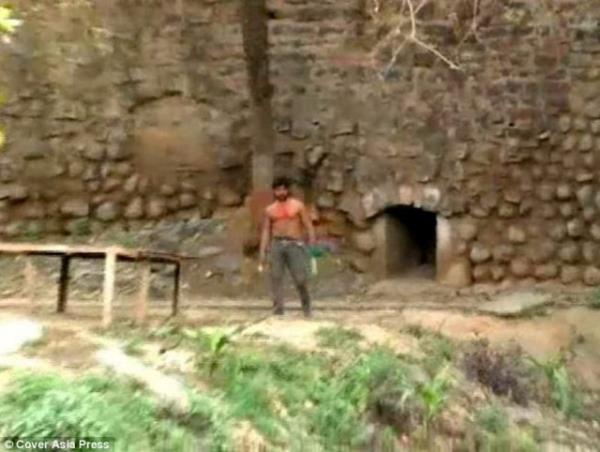 23 yandaki Yashonandan Kaushik adndaki adam gittii hayvanat bahesinde bariyeri ap kaplanlarn ortasna atlad.