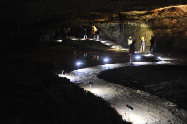 Gvdesinin ylana benzeyen ve yaklak 25 cm uzunluunda olan "nsan Grnml Balk", Akdeniz'e yakn blgelerdeki maaralarda ender olarak grlyor.