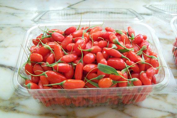 <p>Kanserle sava</p>  <p>  Goji ile birlikte kanser ilac kullanan hastalarda olumlu cevaplarn yalnzca ila kullanan hastalara oranla %250 orannda artt grlmtr. </p>  <p>  Malign melanom, bbrek karsinomu, kolorektal karsinom, nasofaringeal karsinom ve malign hidrotoraks gibi kanser hastalarnn tedavilerinde inanlmaz derecede iyileme salanmtr. Goji ile tedavi gren hastalarn remisyonu (iyilik hali) Goji almayan hastalardan belirgin olarak daha uzun olmaktadr.</p>