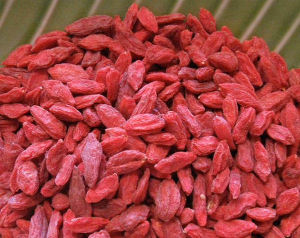 <p>Salkl Kolesterol Seviyelerine Ulan</p>  <p>  Goji, kolesterol seviyelerini dren beta-sitosterol maddesi ierir. Ayrca antioksidanlar sayesinde kolesteroln oksidasyonunu ve damar duvarnda plak oluturmasn engeller.</p>  <p>  Goji ierisindeki flavonoidler ise atar damarlarnzn ak kalmasn ve elastikiyetinin korunmasn salar.</p>