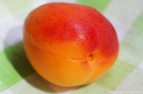 *lserin iyilemesinde rol oynar.