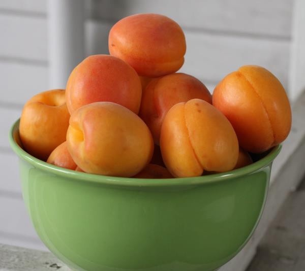 *Kalp kaslarn kuvvetlendirir ve daha dzenli olarak almasn salar.  <br>  *Bbreklerde oluan talarn azalmasnda rol oynar.  <br>  *Kuru kayslar, potasyum bakmndan daha zengindir.