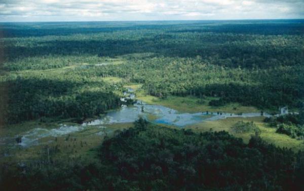 "Hala ta devrinde gibiler. zerlerinde giysi yok. Aalarn tepesinde yayorlar. Yaprak yiyor ve vahi hayvanlar avlayarak besleniyorlar"