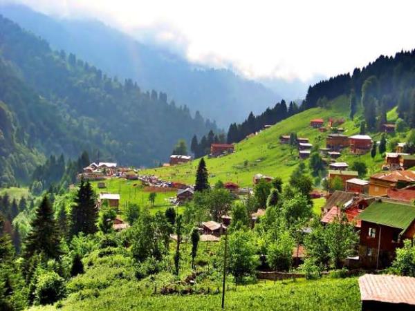 Rize - Ayder  <br>  Rize&#8217;nin amlhemin ilesine bal olan yaylada, serin havann tadn kartabilirsiniz.Yayla, ladin ve kayn ormanlar ile kapldr. Zengin florasnn yan sra kaplcas ile de yeterince dikkat ekmeyi baaryor.