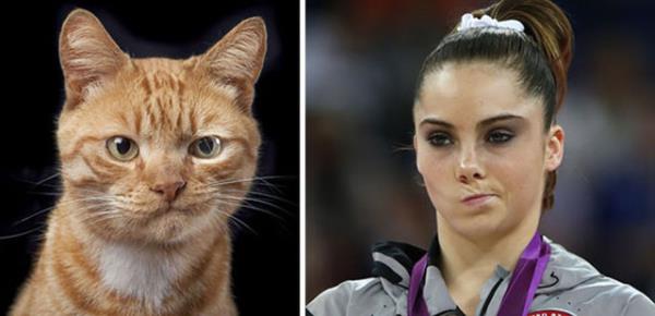 Mckayla Maroney'e ar benzeyen kedi