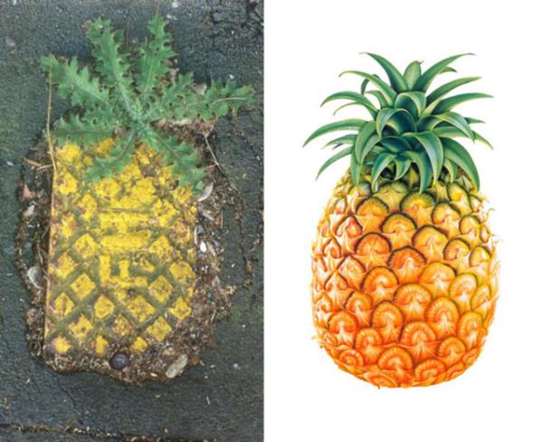 Yere dklen ananas eklinde boya lekesi