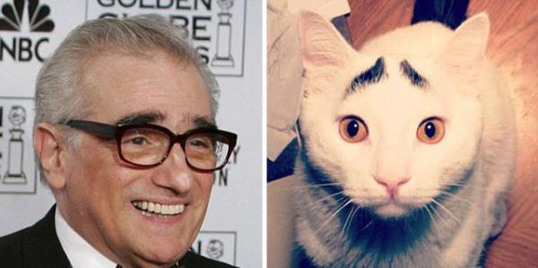 Martin Scorsese ve kedi hali