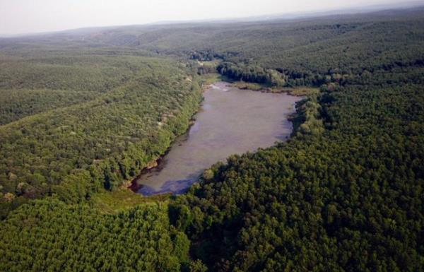Trakya'da ise neada ve Longoz ormanlarnda temiz hava eliinde uzun yryler yapabilirsiniz