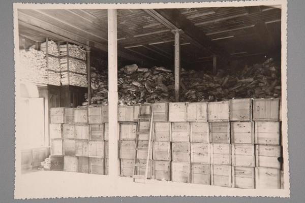 Baz fotoraflardaki belgelerin gemite kt koullarda kalan ve yok olmaktan kurtarlan belgeler olduunu bildirdi.