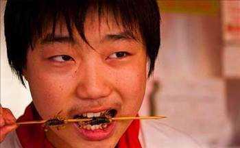 Bir insan ekseriyetle tkettii yiyeceklerin ierisinde olmak zere ylda ortalama 500 gram bcek yer