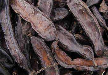 Keiboynuzu nasl kullanlr?<br>  Meyveleri taze ve kuru olarak yenir. ekirdeklerinden de yararlanlr. Yapraklar ve dallar kurutulup kaynatlarak keiboynuzu ay yaplabilir.