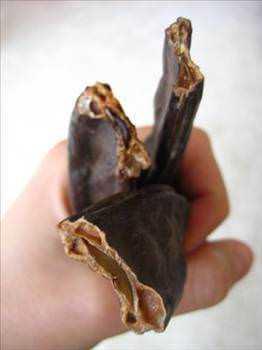 Yksek doal ekerler, zengin mineraller (zellikle inko) ve vitaminler (A, B, B2, B3, D) ierii dolaysyla doal g ve besin kaynadr.