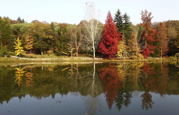 Yeil alan aalarn arasnda istediiniz gibi pozlar vererek, lmsz fotoraflara sahip olabilirsiniz. Bu mekanda fotoraf ektirmek 300 TL civarnda.