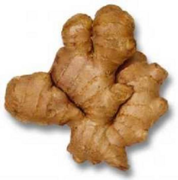 Zencefilin hamileler zerindeki etkisi, maydanoz iin de sz konusu. Maydanozun yemeklerde tketilmesinde bir saknca yokken salata ya da ay olarak fazla miktarda alm de veya karacier hasarna neden olabiliyor.