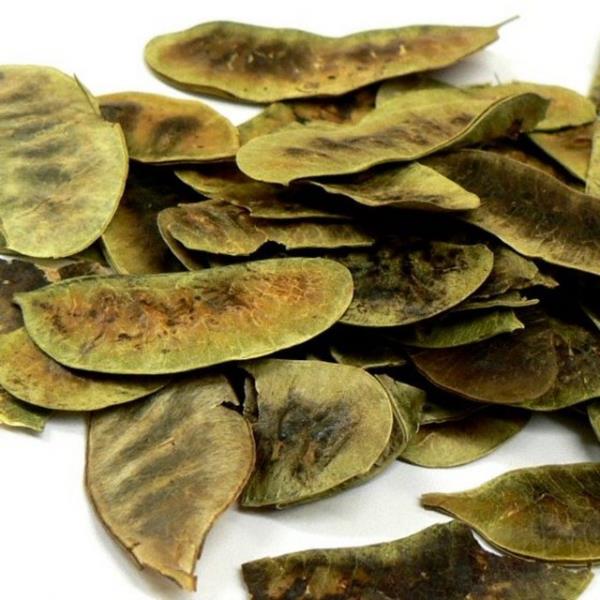 Barsaklar tahri eden bu bitkiyi 1-2 haftadan fazla kullanmamak gerekiyor.