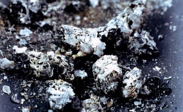 Sigara kl<br>  Saks bitkinizi zararl bceklerden dibine sigara kl dkerek koruyabilirsiniz. Sigara kl zararl bcekleri zehirler.